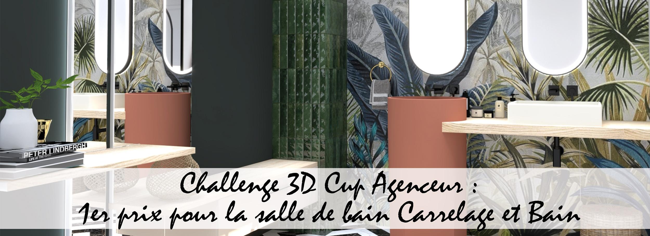 1er prix pour la salle de bain Carrelage et bain Challenge 3D Cup Agenceur 1er prix pour la salle de bain Carrelage et bain Challenge 3D Cup Agenceur